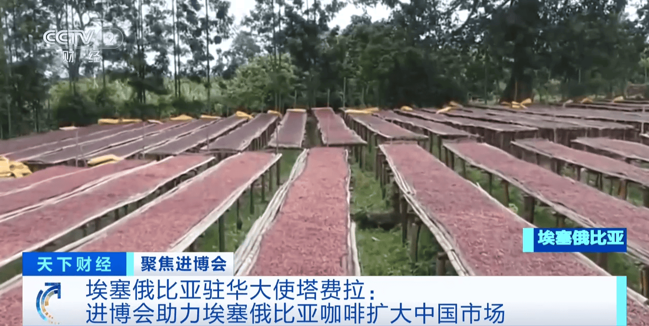 ：进博会助力埃塞俄比亚咖啡扩大中国市场CQ9电子网站埃塞俄比亚驻华大使塔费拉(图2)