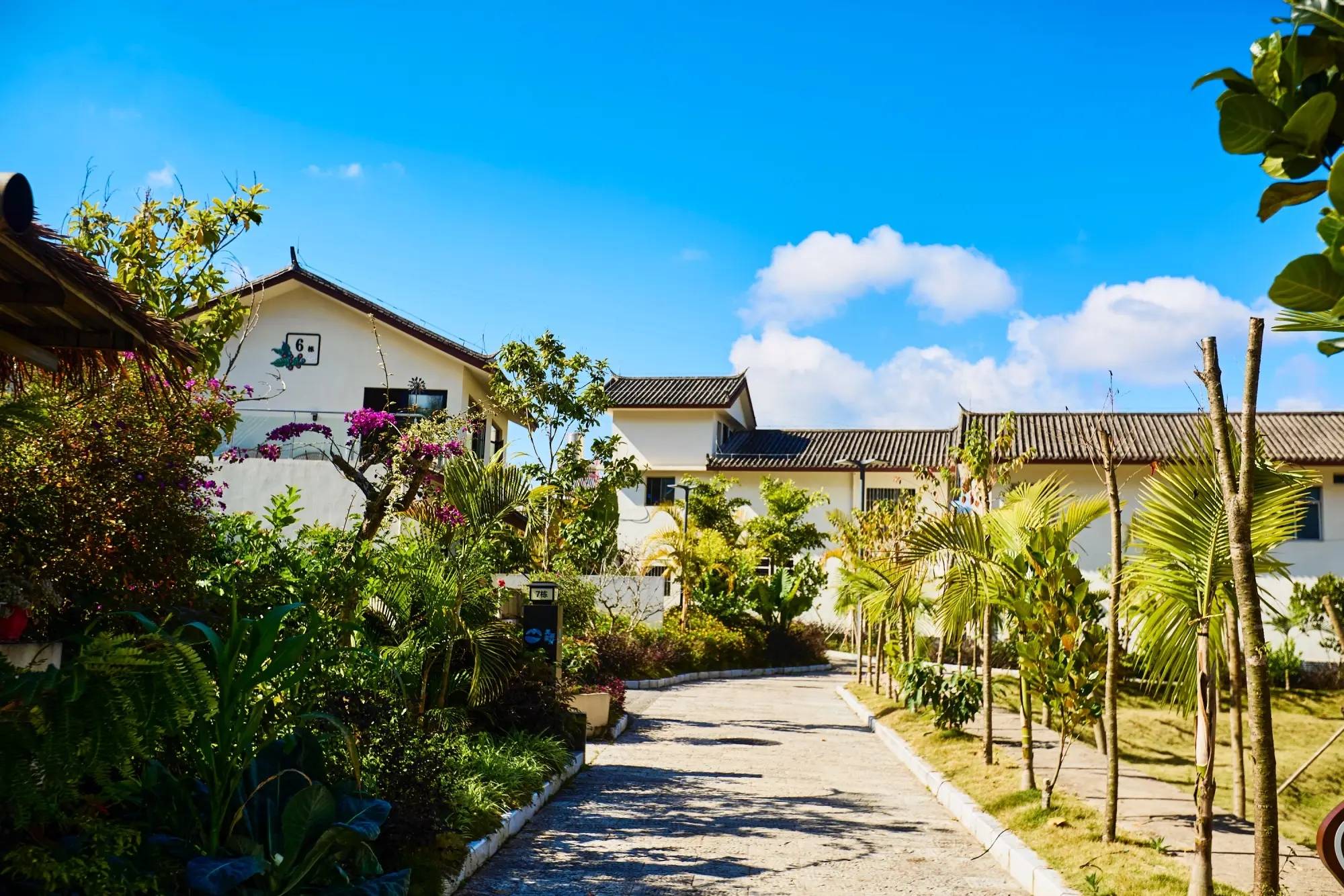 村云南本土与现代技艺交融的咖啡文化生活CQ9传奇电子普洱思茅南岛河村美丽星(图3)